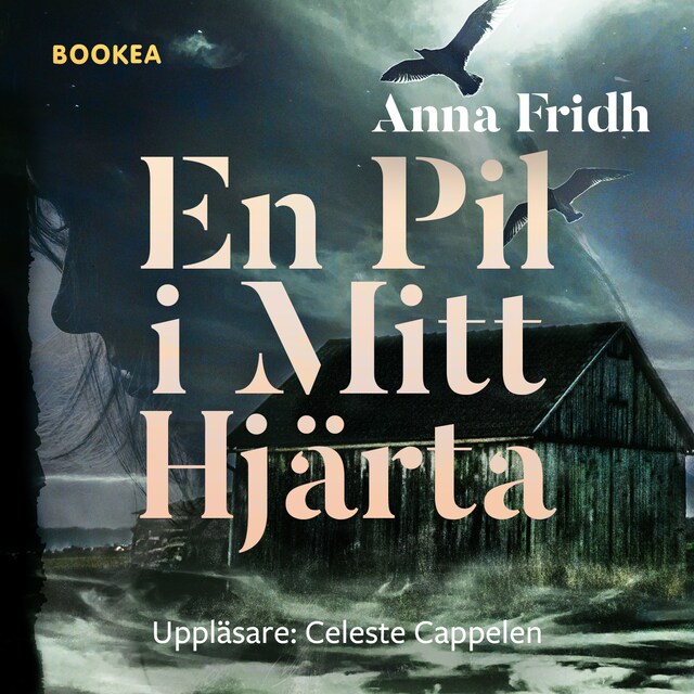 Omslag till ljudboken En pil i mitt hjärta