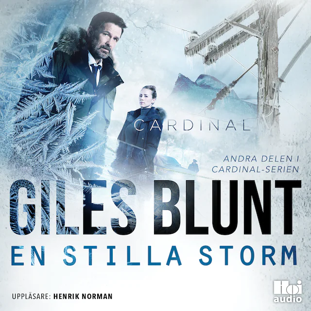 Omslag: En stilla storm