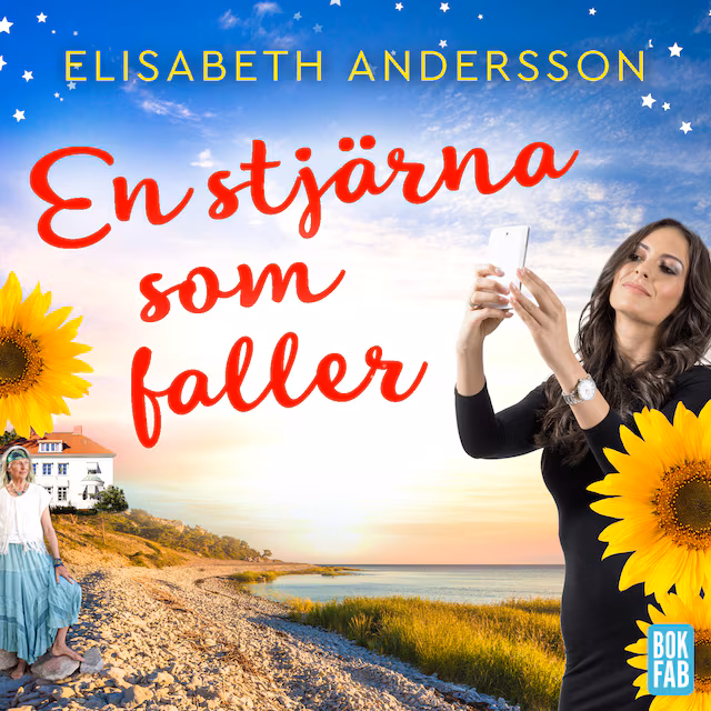 Omslag: En stjärna som faller