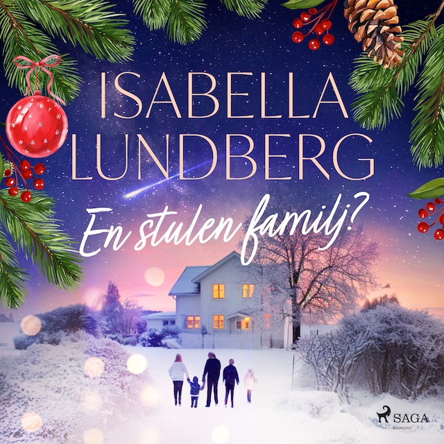 Omslag: En stulen familj?
