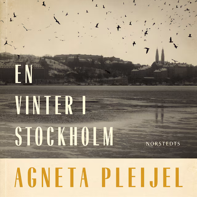 Omslag: En vinter i Stockholm