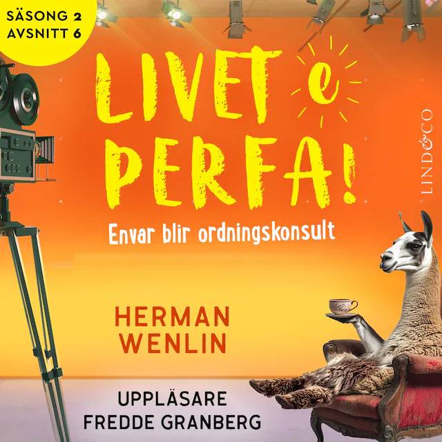 Omslag: Envar blir ordningskonsult (S2E6 Livet e perfa!)