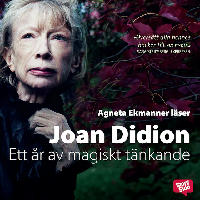 Omslag: Ett år av magiskt tänkande