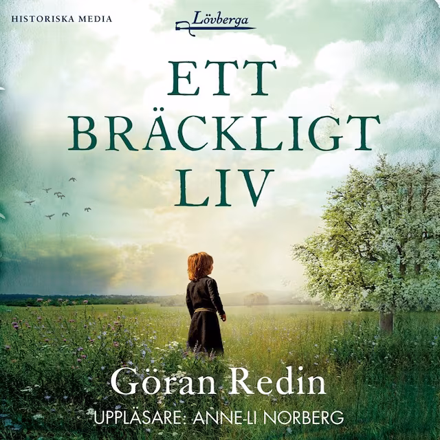 Omslag: Ett bräckligt liv