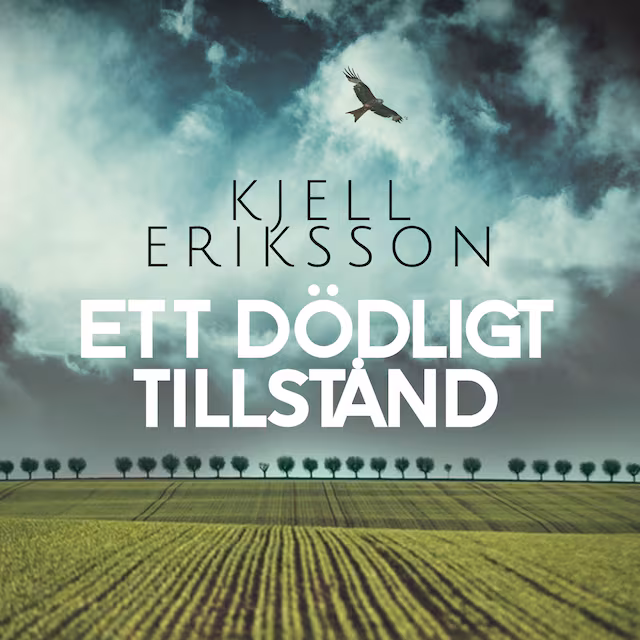 Omslag: Ett dödligt tillstånd