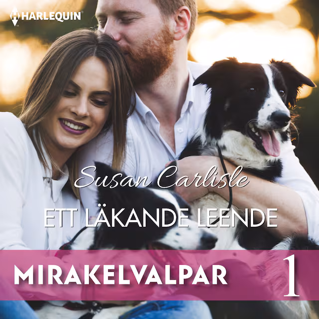 Omslag: Ett läkande leende