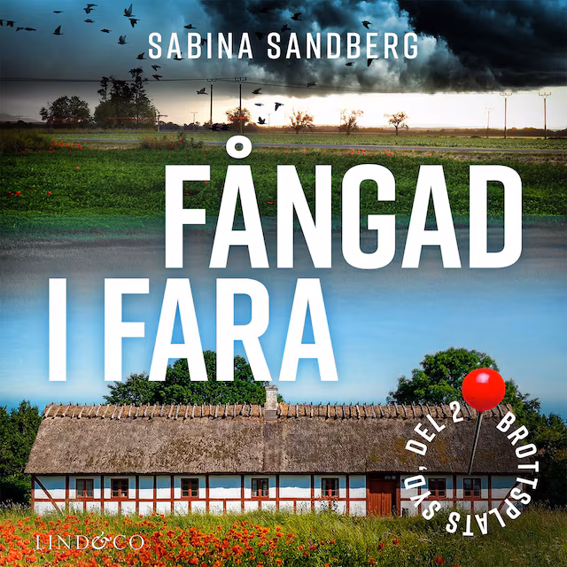 Omslag: Fångad i fara