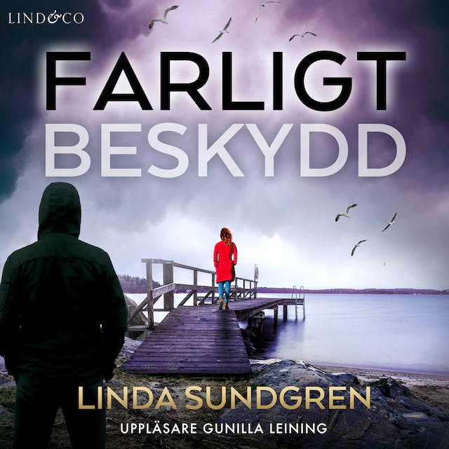 Omslag: Farligt beskydd