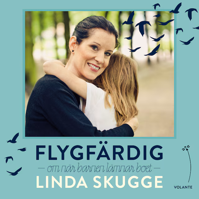 Omslag: Flygfärdig