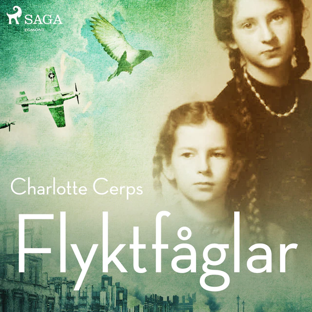 Omslag: Flyktfåglar