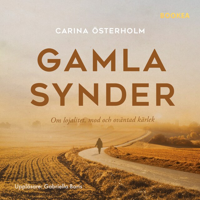 Omslag: Gamla synder