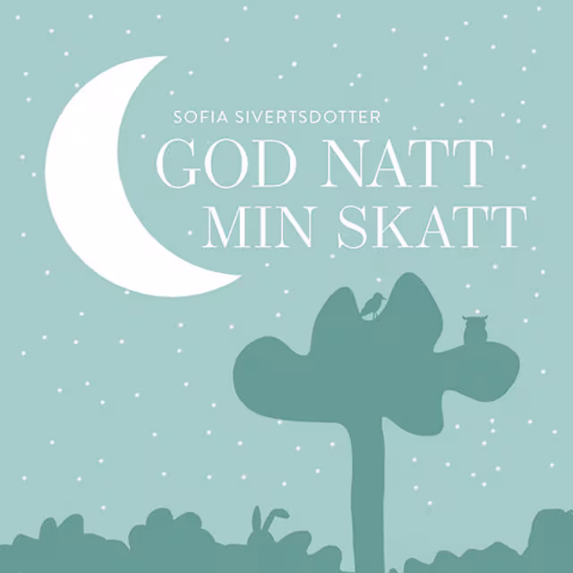 Omslag: Godnatt min skatt: meditation för barn
