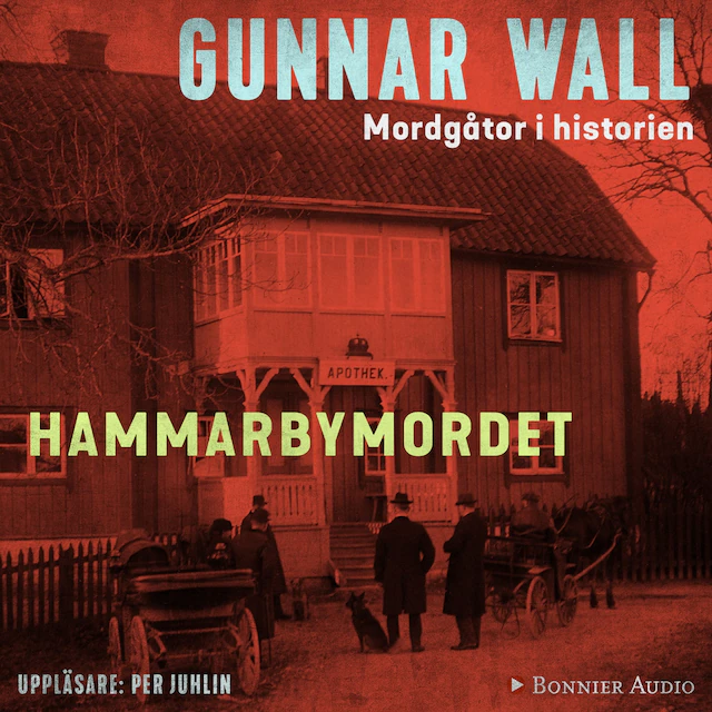 Omslag till ljudboken Hammarbymordet