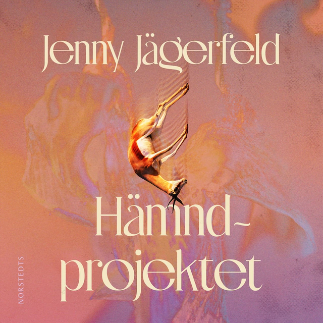 Omslag: Hämndprojektet