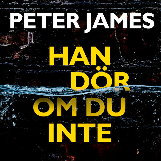 Omslag till ljudboken Han dör om du inte