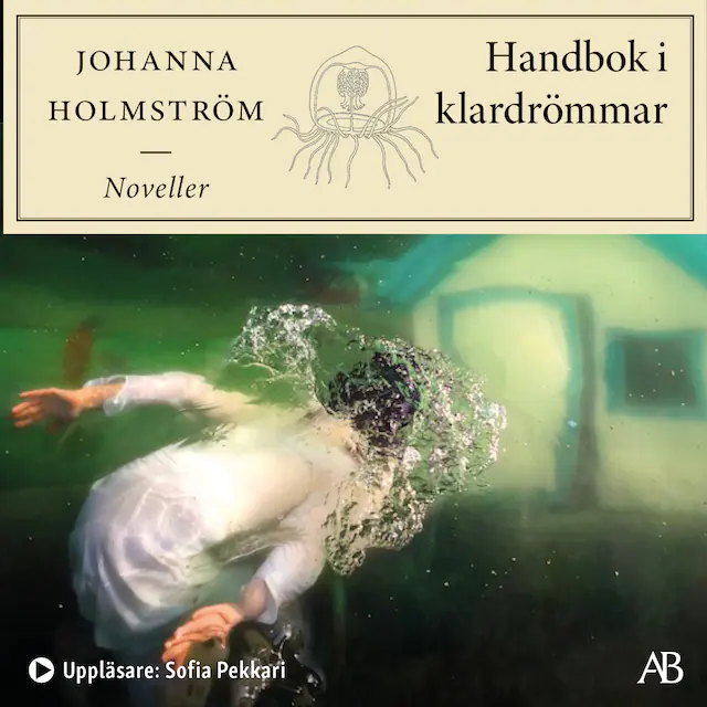 Omslag: Handbok i klardrömmar