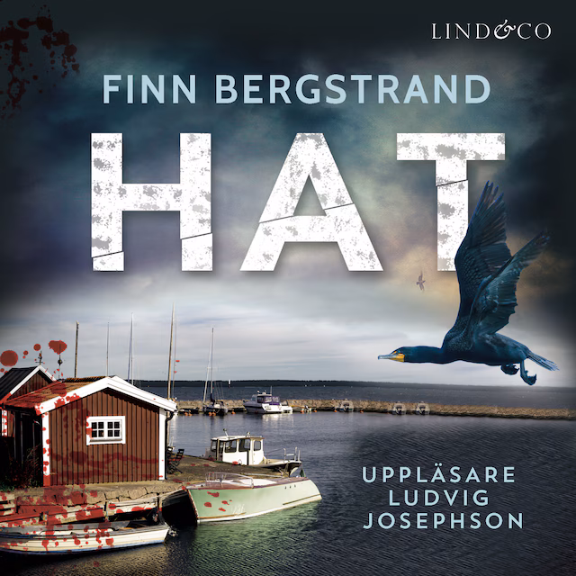 Omslag: Hat