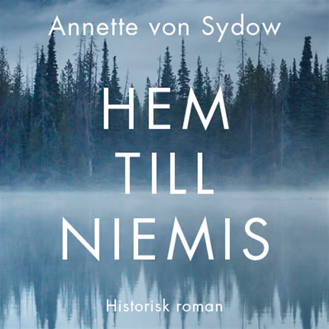 Omslag: Hem till Niemis