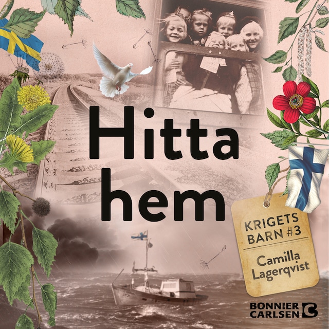 Omslag: Hitta hem