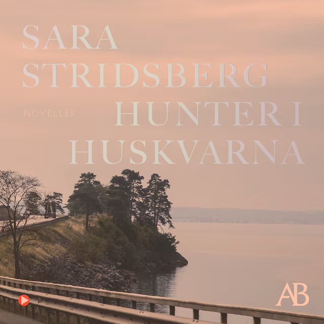 Omslag: Hunter i Huskvarna