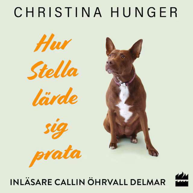Omslag: Hur Stella lärde sig prata