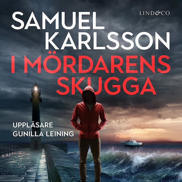 Omslag: I mördarens skugga