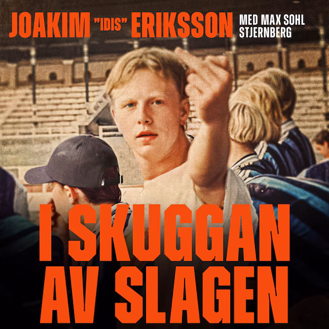 Omslag: I skuggan av slagen