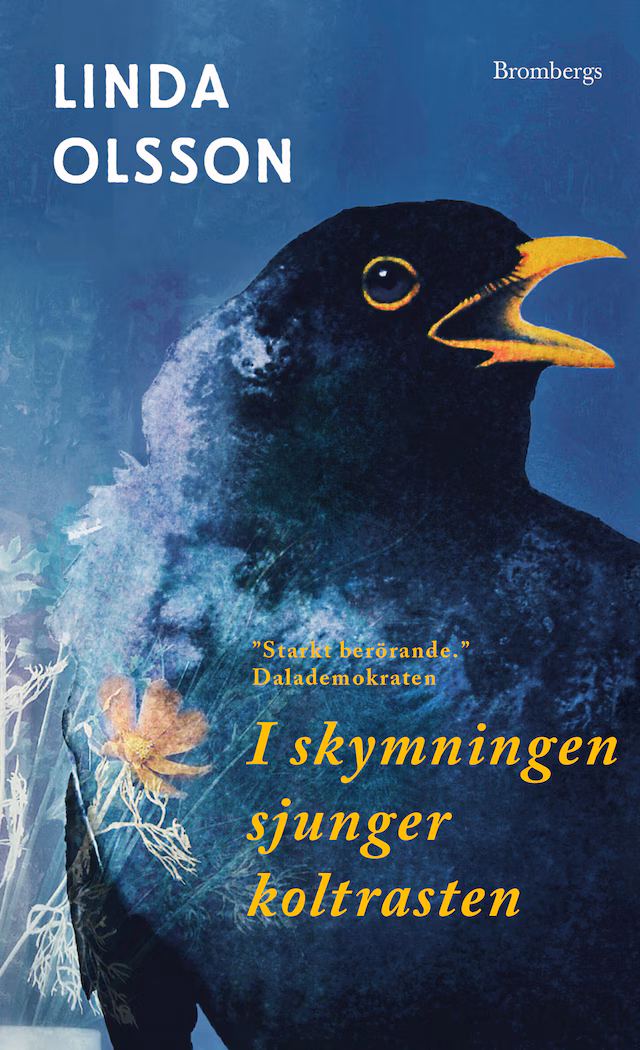 Omslag: I skymningen sjunger koltrasten