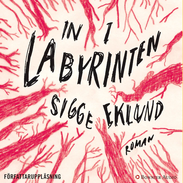 Omslag: In i labyrinten