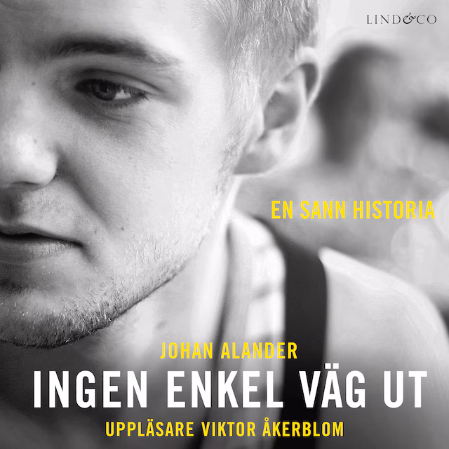 Omslag: Ingen enkel väg ut