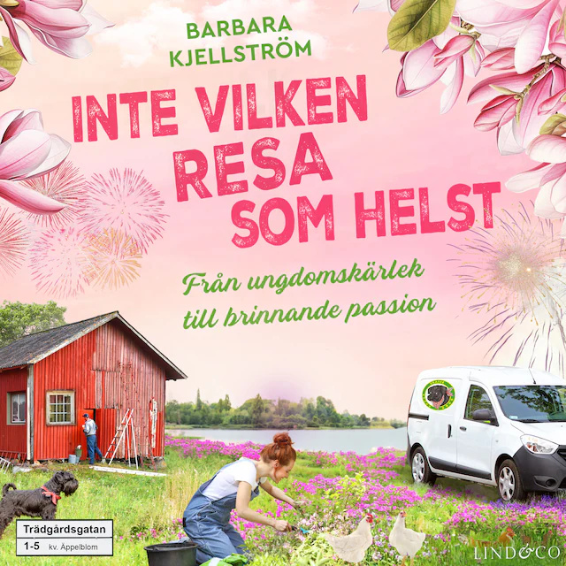Omslag: Inte vilken resa som helst: Från ungdomskärlek till brinnande passion