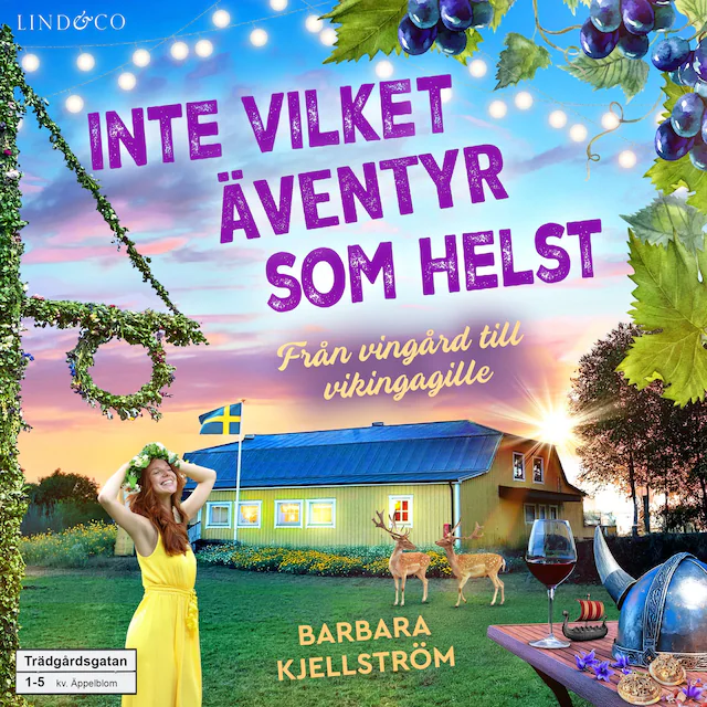Omslag: Inte vilket äventyr som helst: Från vingård till vikingagille