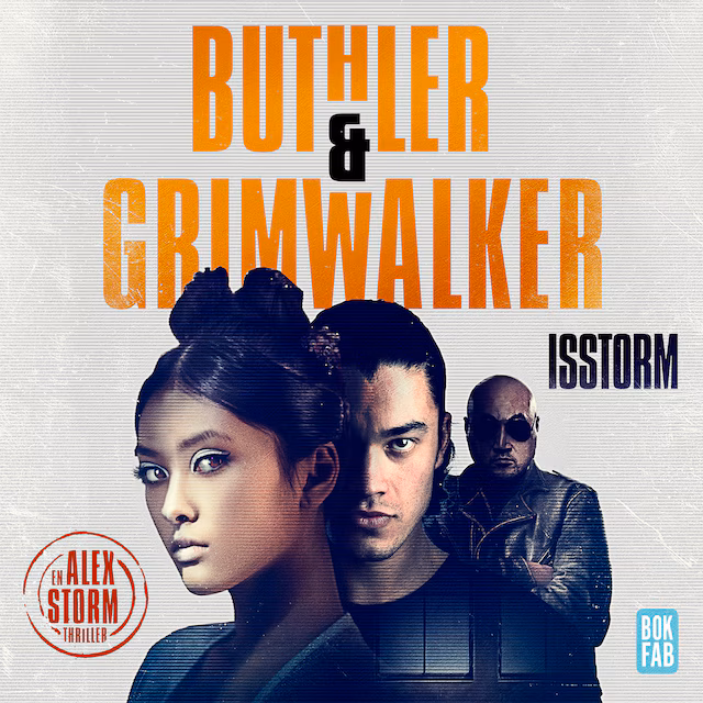 Omslag: Isstorm