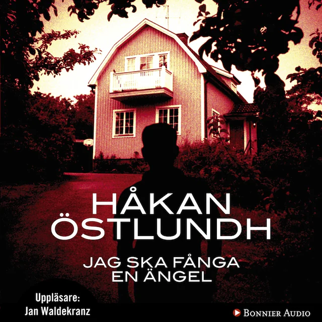Omslag: Jag ska fånga en ängel