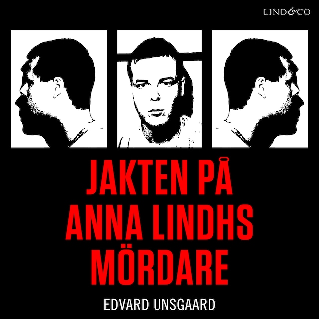 Omslag: Jakten på Anna Lindhs mördare