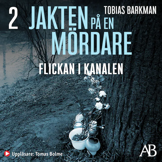 Omslag: Jakten på en mördare: Flickan i kanalen