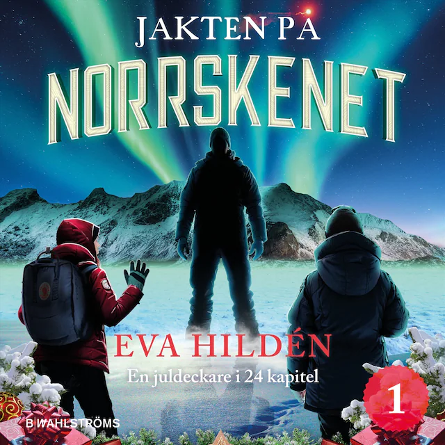Omslag: Jakten på norrskenet : En juldeckare i 24 kapitel