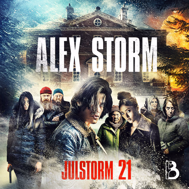 Omslag: Julstorm: Lucka 21