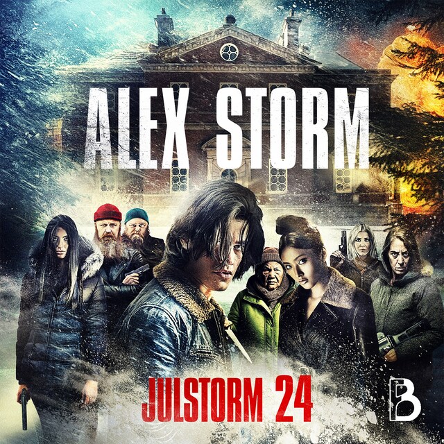 Omslag: Julstorm: Lucka 24