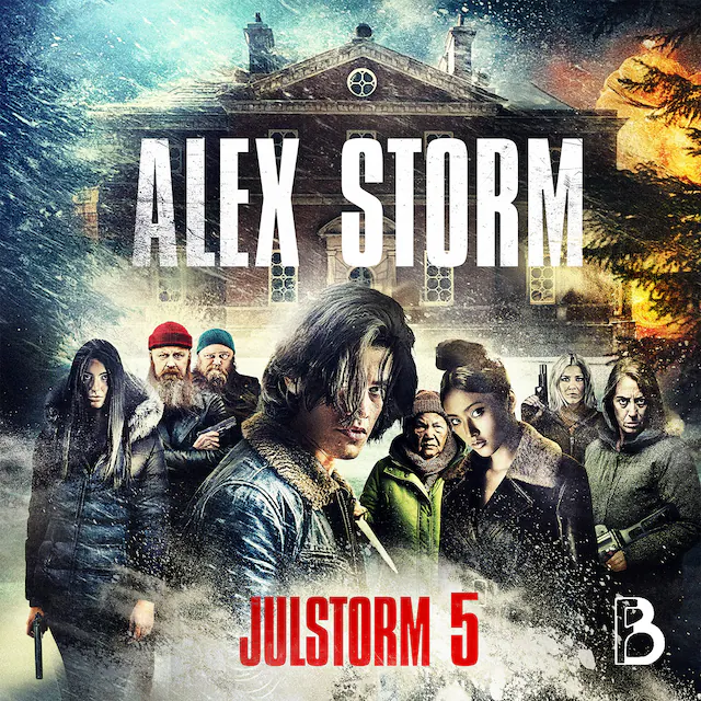 Omslag: Julstorm: Lucka 5