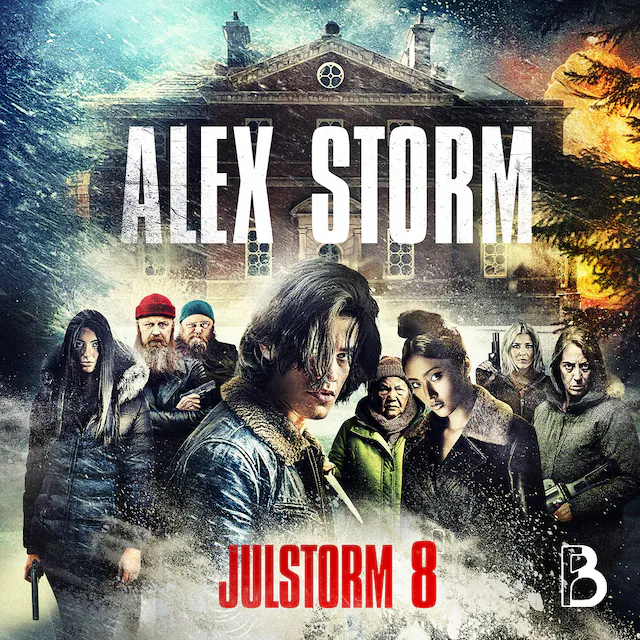 Omslag: Julstorm: Lucka 8