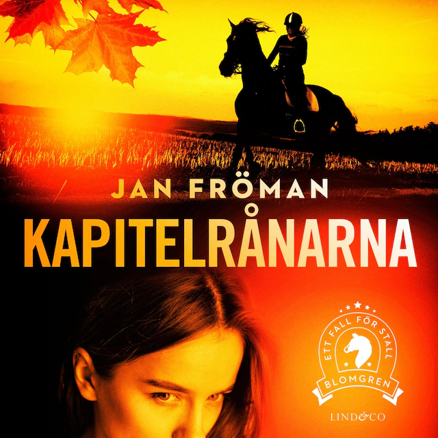 Omslag till ljudboken Kapitelrånarna
