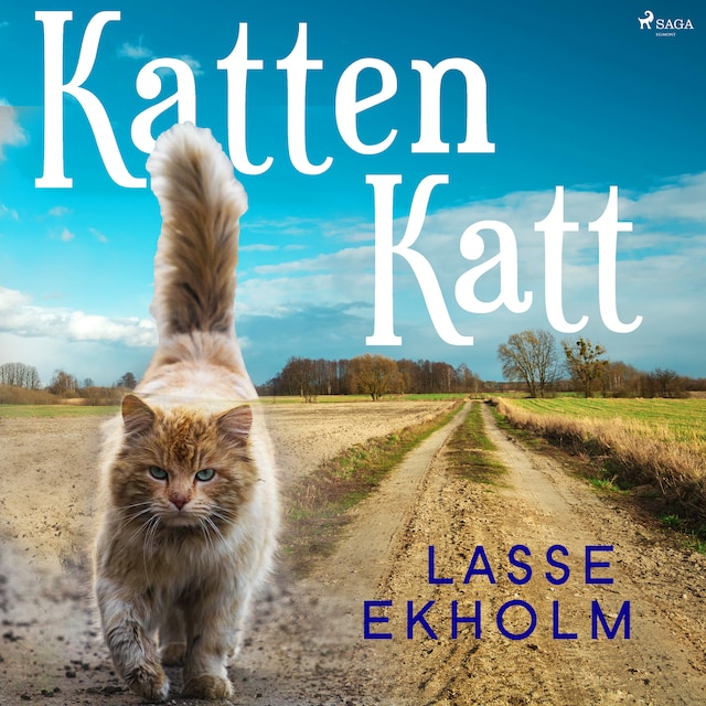 Omslag: Katten Katt