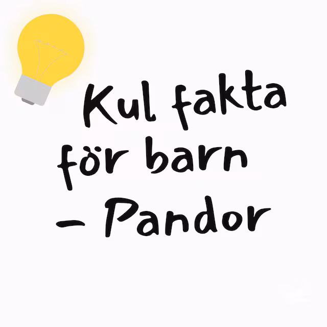Omslag: Kul fakta för barn: Pandor