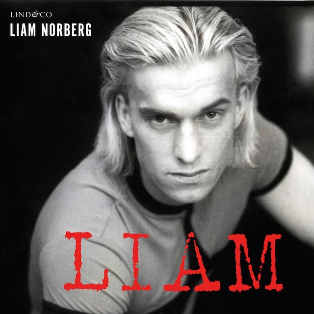Omslag till ljudboken Liam