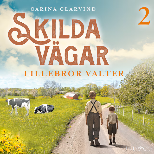 Omslag: Lillebror Valter