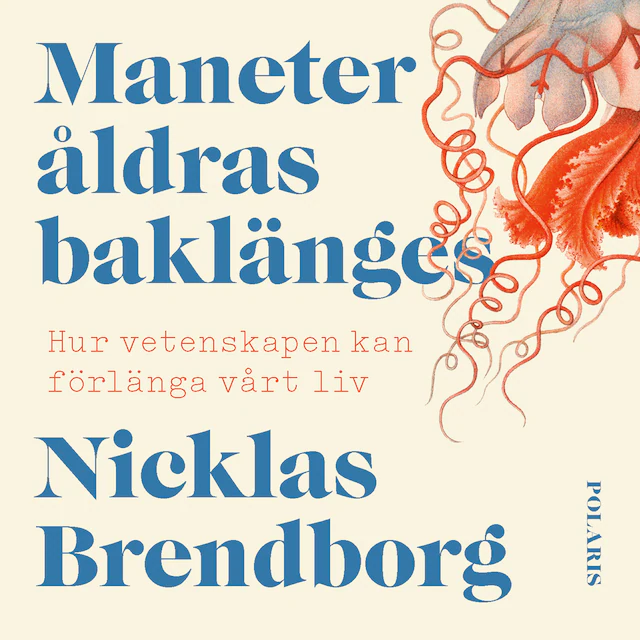 Omslag: Maneter åldras baklänges