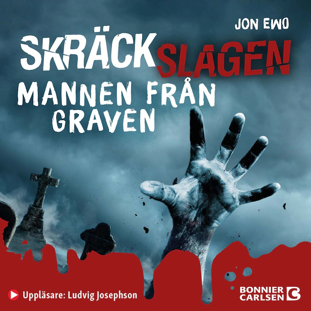 Omslag: Mannen från graven