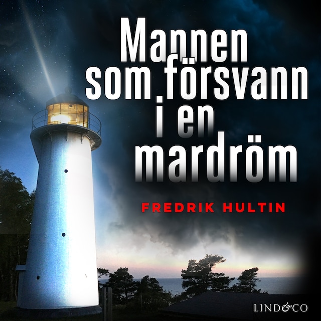 Omslag: Mannen som försvann i en mardröm