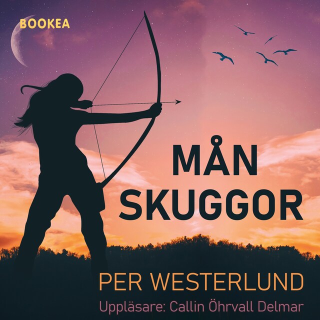 Omslag: Månskuggor
